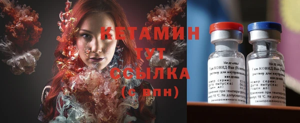 хмурый Новозыбков