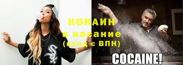 хмурый Новозыбков