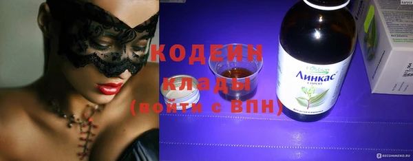 хмурый Новозыбков