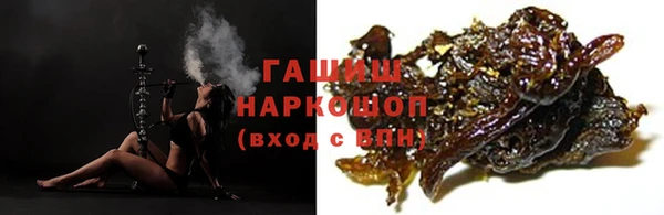 хмурый Новозыбков