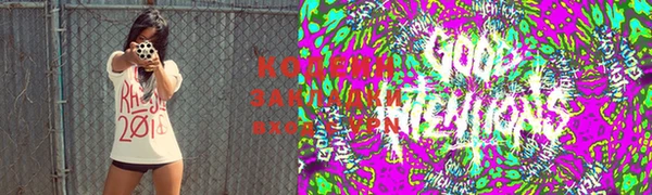 хмурый Новозыбков