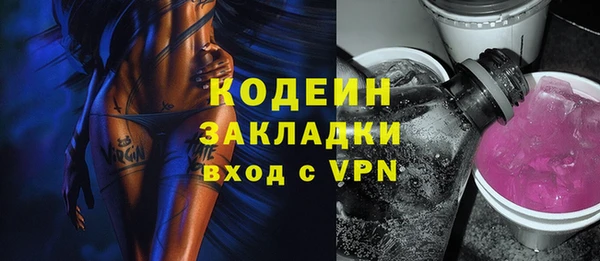 хмурый Новозыбков