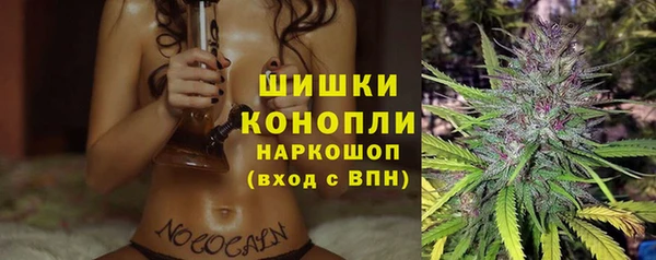 хмурый Новозыбков