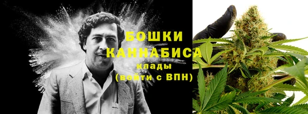 твердый Бежецк