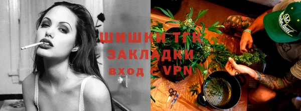хмурый Новозыбков