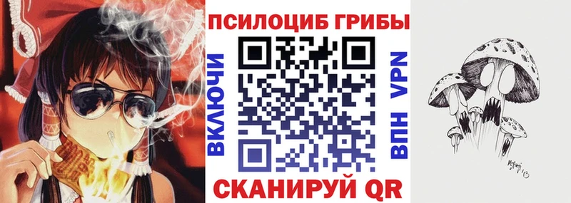 магазин  наркотиков  Суздаль  сайты даркнета клад  Галлюциногенные грибы Cubensis 